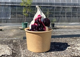 ソフトクリーム